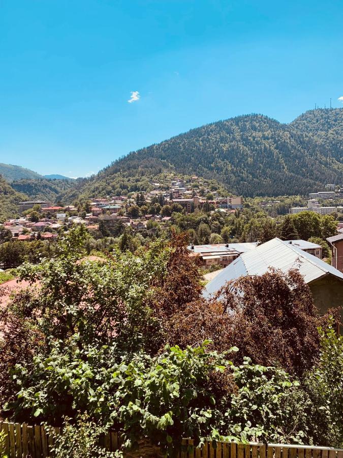 Ano'A Apartment Borjomi Bagian luar foto