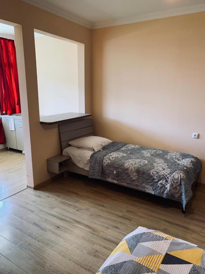 Ano'A Apartment Borjomi Bagian luar foto