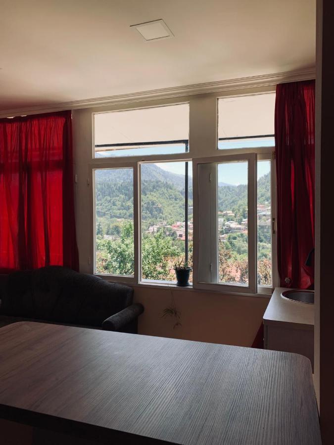Ano'A Apartment Borjomi Bagian luar foto