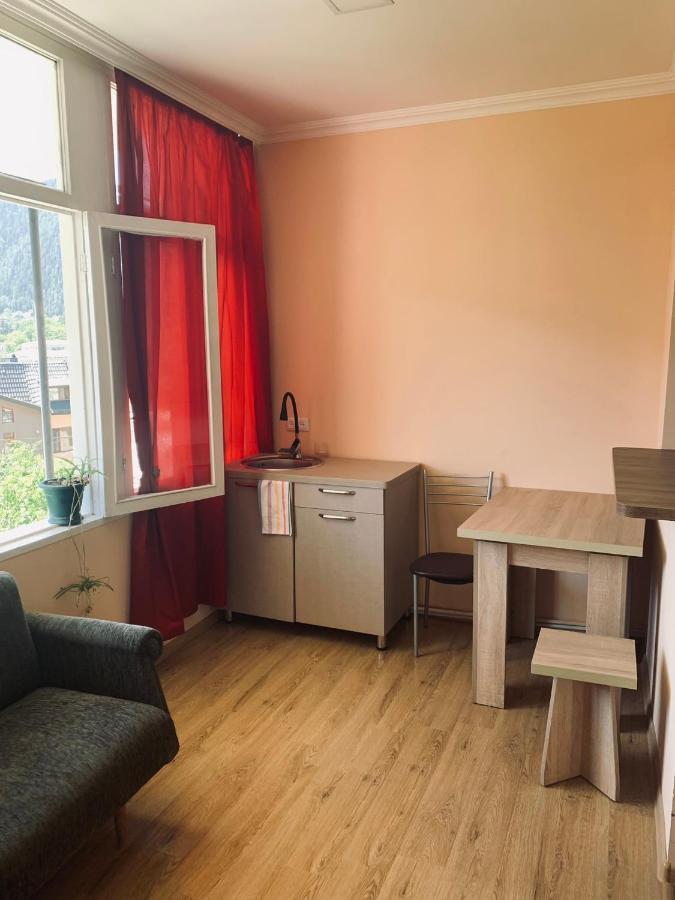 Ano'A Apartment Borjomi Bagian luar foto
