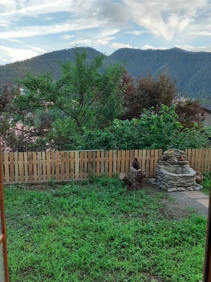 Ano'A Apartment Borjomi Bagian luar foto