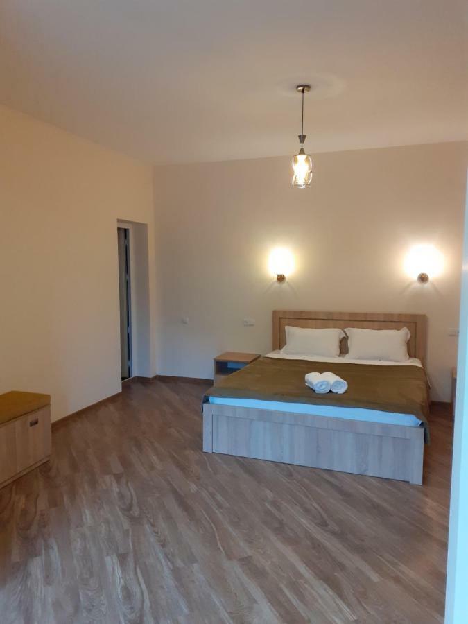 Ano'A Apartment Borjomi Bagian luar foto