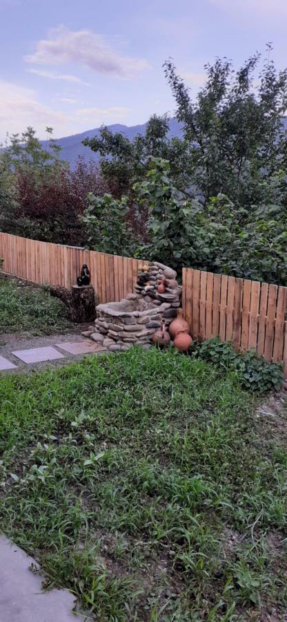 Ano'A Apartment Borjomi Bagian luar foto