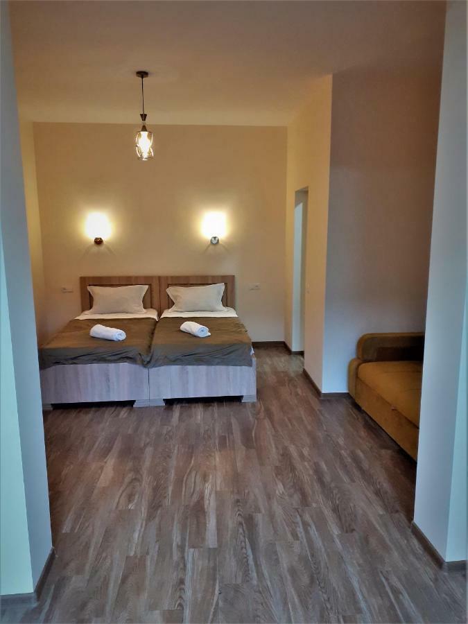 Ano'A Apartment Borjomi Bagian luar foto
