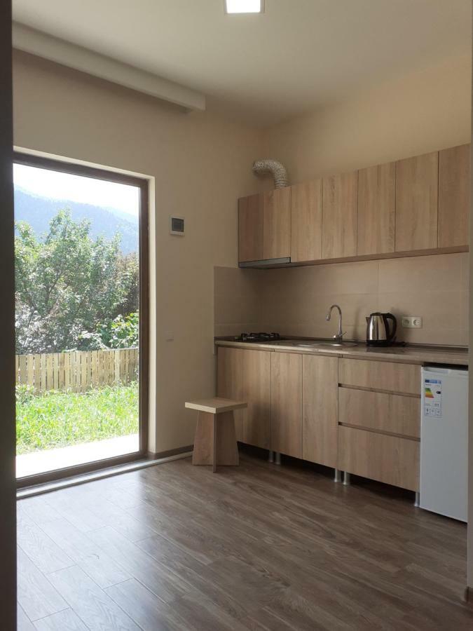 Ano'A Apartment Borjomi Bagian luar foto